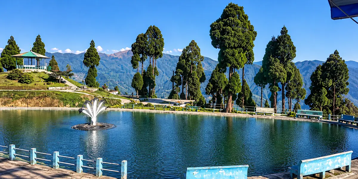 Sumendu Lake at Mirik, ringed by pine forest